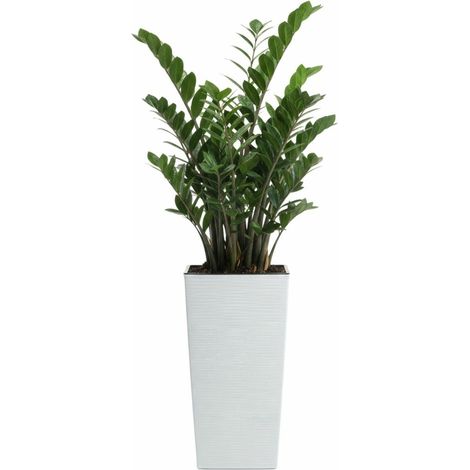 Maceta Porto Riflo blanca de 46,5 x 24,7 x 24,7 cm (alto x ancho x alto)