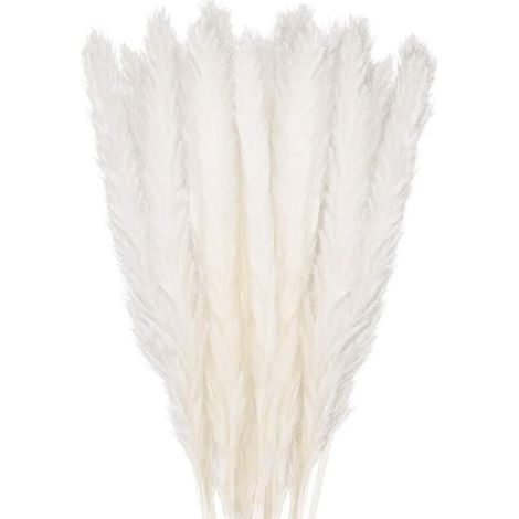 30 Stück Pampasgras, 58 cm natürlicher, getrockneter Pampasblumenstrauß für Vasen, weiße Boho-Dekoration für Schlafzimmer, Wohnzimmer, Hochzeit, Fotoshooting, Tischdekoration