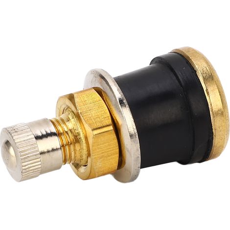 20 Pièces 1-1/8po Tige de Valve Cuivre pour Pneus Tubeless Camionnette Remorque Camping-car Performances Stables Trou de Valve 0.625po (1/5)