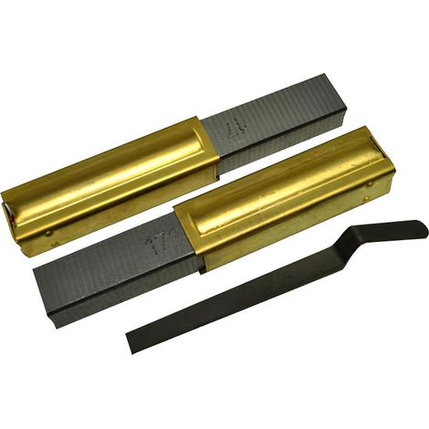 Atepac – Lot de 2 charbons pour moteurs Cyclovac ElectroMotor – Performance optimale – Compatibilité 220-240V – Durée de vie prolongée