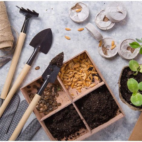 D'outils de Jardinage Mini Ensemble(13 Pcs),Kit d'outils pour Bonsai, Ensemble Complet d'outils, Adapté à la Plantation en Intérieur ou en Pot (1/4)