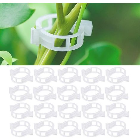 Pflanzenclips zur Pflanzenstütze Wiederverwendbare Gartenclips für Tomaten, Blumen und Gemüse 300 Stück (1/5)