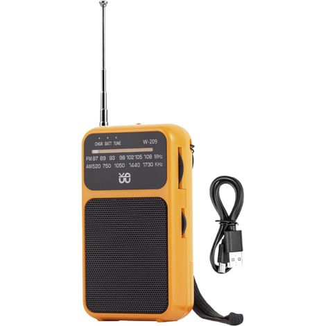 Postes Radio Portables AM FM (1/5)