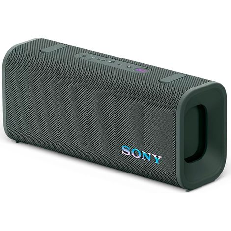 SRSULT30H Altavoz portátil estéreo Gris