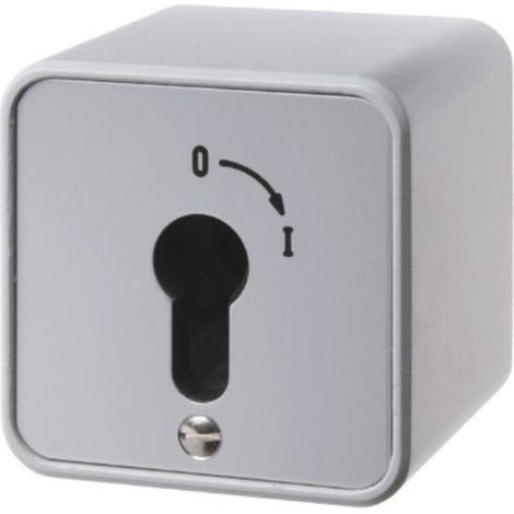 Hager SCHLÜSSELSCHALTER AP FÜR PROFI (WDE4466)