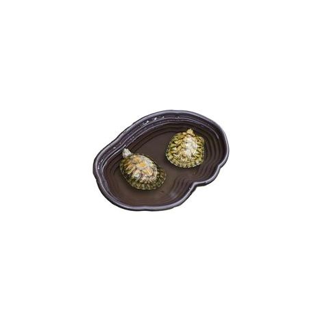 Plat d'eau de tortue avec rampe 15x11x2 pouces de reptile peu profonde Reptile Discing lisse Easy Easy lavage polyvalent TURTLE ABS TURTLE POUR GECKO Snake, marron, tortue (1/5)