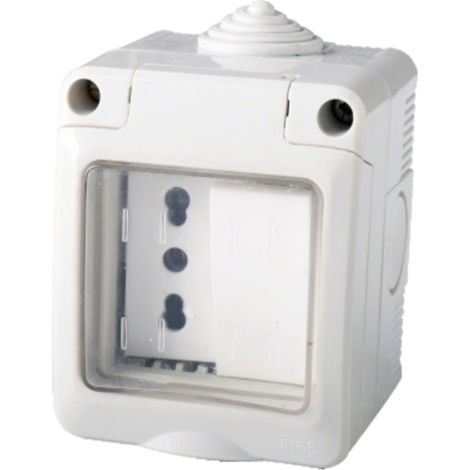 Kit Contenitore Cassetta Elettrica Esterna 1 Presa Bipasso 10/16A+1 Interruttore Con Coperchio Stagno IP55, Montaggio Da Parete Esterno,Omologato IMQ
