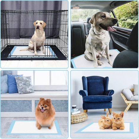 Lot de 60 alèses absorbantes pour chiots, fond imperméable, 45 x 60 cm (1/5)