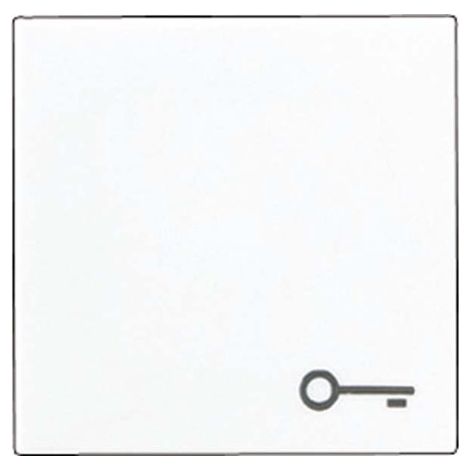 Jung Balancín simple, símbolo puerta, Duroplast, Serie A, blanco alpino A 590 T WW