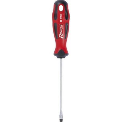 Tournevis Plat 6x100 mm - Aimanté - Précision et Efficacité - Acier Traité - D-Work (1/2)