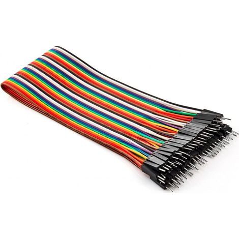 Dupont Stecker - Stecker Kabel (20 Cm / 40 Stck.) Pro-0243