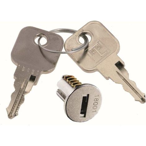 – Barillet de remplacement pour serrures LEHMANN – 2 clés métalliques profil B1 – Cylindre 16,5mm – Compatible série 18201-18300