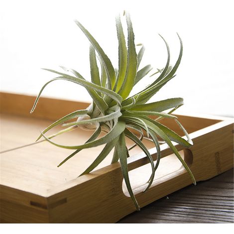 Nouvelles plantes artificielles en rotin, ananas, 6 types, plantes vertes simulées, décoration murale pour mariage, maison ou bureau, 1 pièce (1/5)