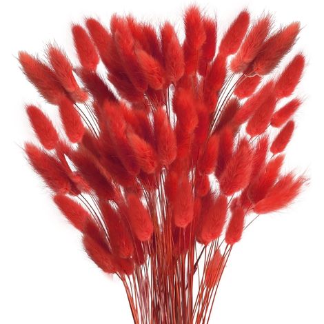 120pcs Fleurs Séchées Rouge 43 cm Lagurus Ovatus Automne (1/5)
