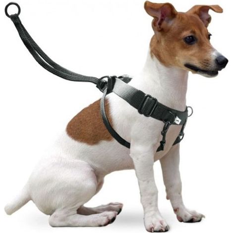 EASY WALKER XL TRAININGSGURT EXCLUSIVES ANGEBOT