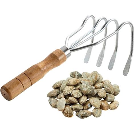 Râteau de Jardin Manuel - Manche en Bois pour Coquillages Et Rochers -