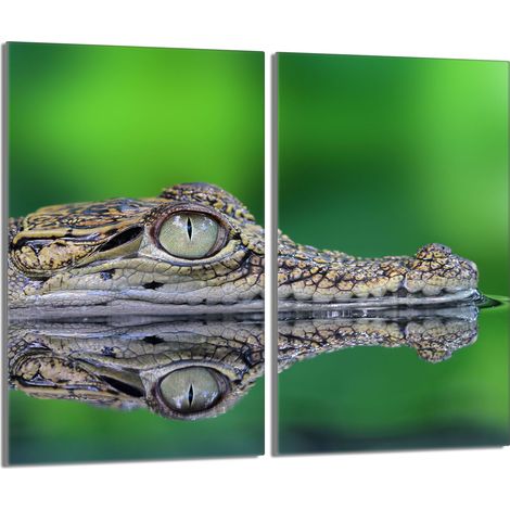 Glasschutzplatte für den Herd 2x30x52 Krokodil (1/5)