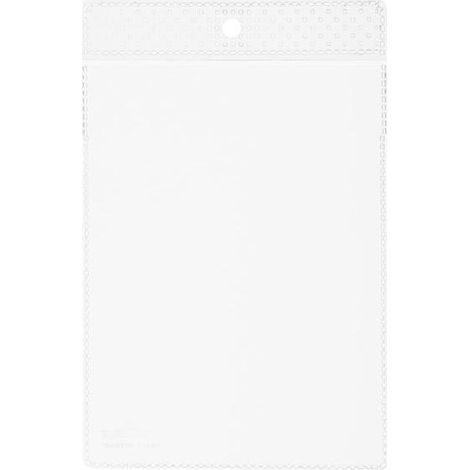 Durable 229719 Busta Porta Avvisi, con Occhiello per Affissione, Formato A6, Trasparente, Confezione da 100 Pezzi (1/4)