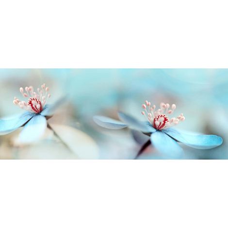 Tableau fleurs délicates bleues et rouge | Tableau sur toile nature couleur pastel | Tableau floral idéal pour chambre et entrée 1,0 x 0,4 m (1/2)