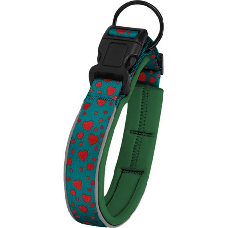 Collier ajustable pour chien, laisses de dressage robustes et durables pour chiens de petite, moyenne et grande taille (1/5)