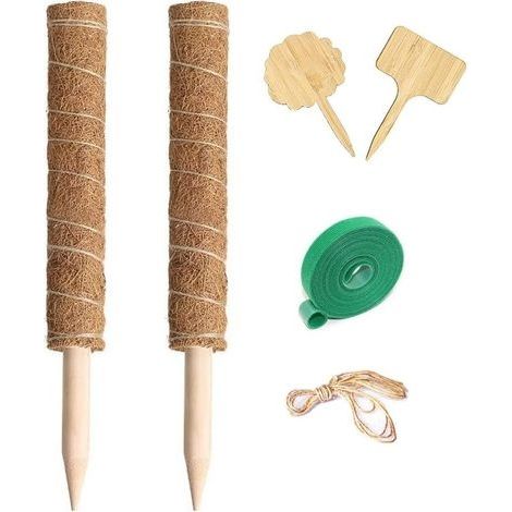 2 Pièces Bâton De Coco, 40cm Chacun, Tuteurs en Coco Superposable, Poteau de Coco avec Le Bâton de Bois Pointu pour Plantes Grimpantes Extension et Support de Plant dans Le Jardin Maison (1/5)