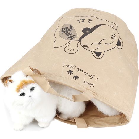 Sac de jeu portable en papier kraft de haute qualité pour chat, idéal pour les voyages en extérieur (1/5)