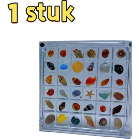 Boîte de rangement en acrylique très transparent avec couvercle pour coquillages, 36 compartiments de 1 cm de profondeur, idéale pour conserver et exposer les coquillages, dimensions 11,7 x 11,7 cm, t (1/5)
