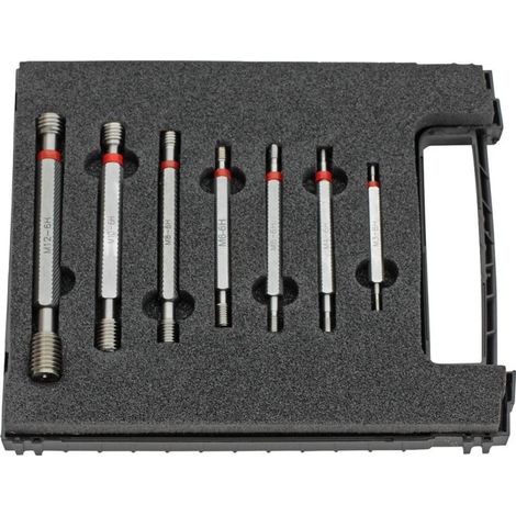 Tamp Gioco. M3-M12 Filettato 6G Fortis (1/3)