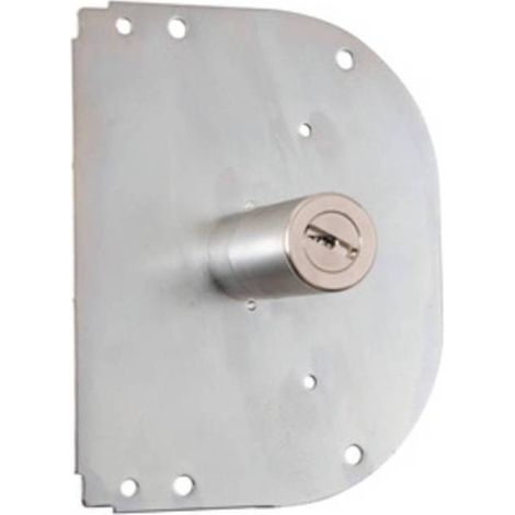 CR 28 K55 CILINDRO C/PIASTRA ARR 60MM P/SERR POMPA