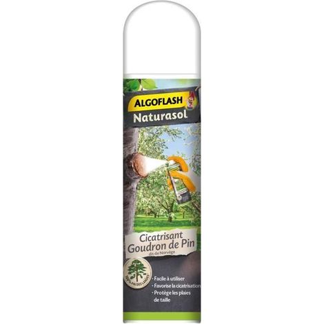 Insecticide algoflash naturasol spray 300 ml multi usage (1/4)