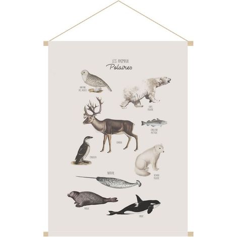 Kakemono für Kinder Polartier L40 x B60 cm POLAR