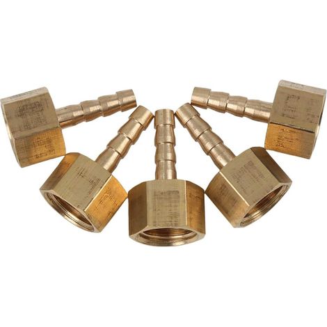 5pcs Raccord Cannelé Laiton 4mm G1/4 NPT Femelle Connecteur Tuyau Auto Moto