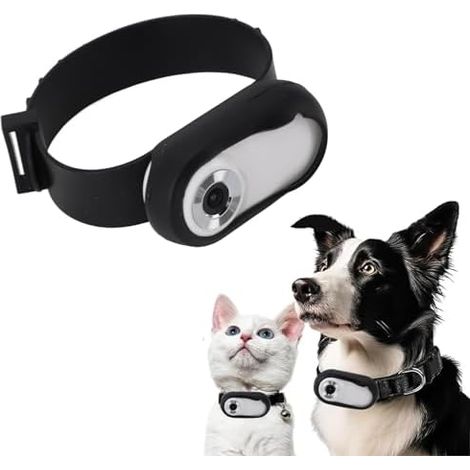 Cat Camera Collar, Pet Camera with Wide Angle Lens, Digital Display, Memory Card Black Small Cat