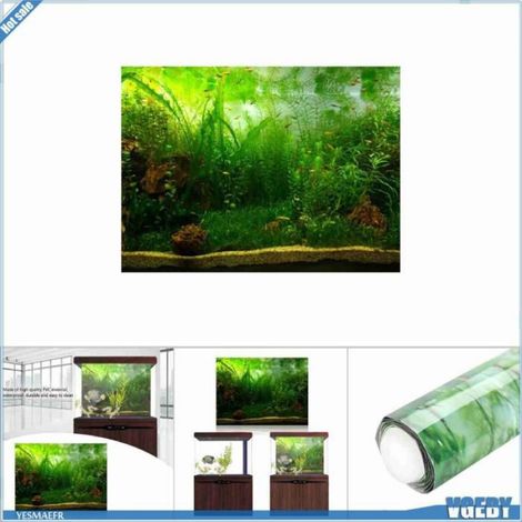 Ashata Affiche d'aquarium (6130cm) Affiche De Fond D'aquarium En PVC Style Herbe Aquatique animalerie decor (1/5)