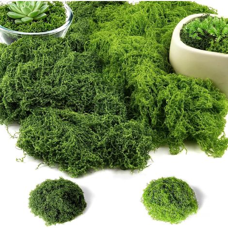 100g Mousse Artificielle, Fausse Mousse, Réutilisable Plante Artificielle Mousses pour Mariage, Noël, Pâques, Maison, Paysage, Décoration de Jardin(50g Vert Foncé + 50g Vert Clair) (1/5)