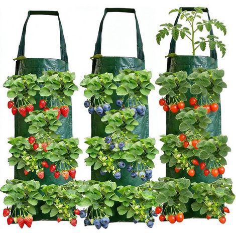 Pflanzsäcke – Hängende Pflanzsäcke – Gemüseanbau – 8 Löcher – 3 Stück – Grün (1/5)