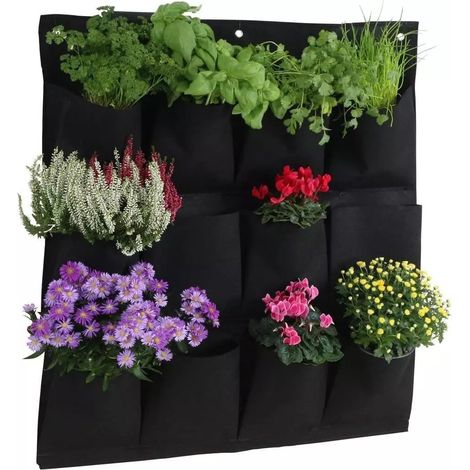 Filiyano – Support mural de culture pour plantes d'intérieur et d'extérieur, 12 poches, jardinière verticale pour légumineuses (1/4)