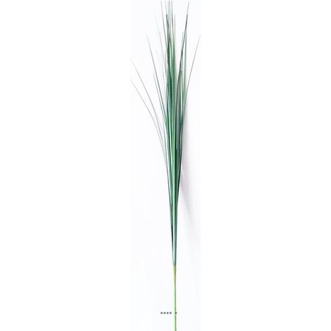 Isolepsis artificiel Vert H 90 cm superbe Graminée herbe de savane