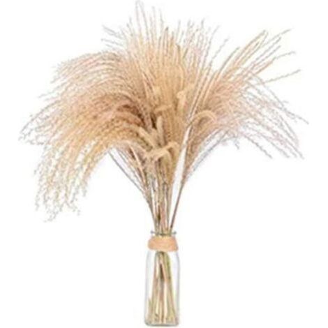 10 Pieces Pampas Grass Natural Reeds Dried Flower Dried Flowers Vases Dried Decoration Large Bouquet Grass Wedding Flower Ceremony Fashionable Bouquet Artificial Bouquet (60CM) (1/5)