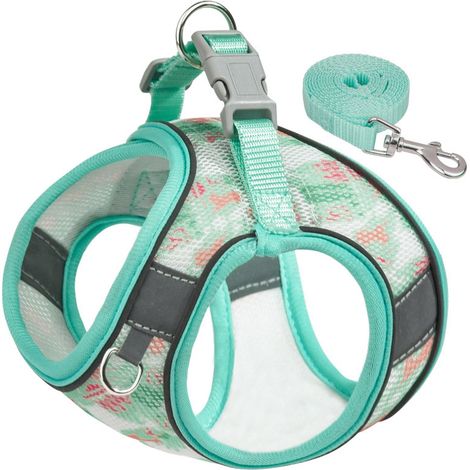 Juego De Arnés Y Correa Para Perros Y Gatos Pequeños Y Medianos Con Cuerda De Pecho Reflectante Y Transpirable Ropa De Perro Para Caminar Al Aire Libre (1/5)