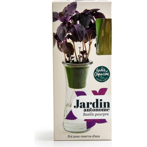 Jardin autonome - Basilic Pourpre bio (1/5)