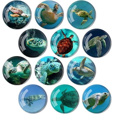Lot de 12 aimants pour réfrigérateur en verre - 35 mm (Aimant pour réfrigérateur en forme de tortue) (1/5)
