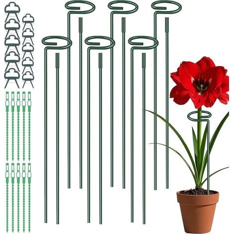 6-teiliges Pflanzenstützset, 30 cm/60 cm/90 cm verstellbare Einzelstab-Stützstäbe, 6 cm Metall-Pflanzenstützring mit 10 Clips und Bändern für Blumen, Rosen, Pfingstrosen, Tomaten (1/5)