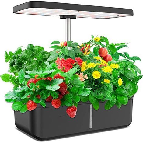 Hydroponic Flower Pot, 2 Growing Modes, 12 Holes, 3 Lighting Modes, Adjustable Height, Large Capacity Water Tank, Plastic Material, Black