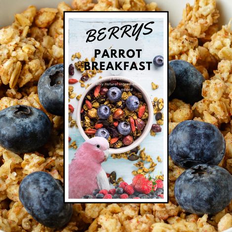 Desayuno caliente con frutos rojos para loros Plato para el desayuno o la cena de loros Comida caliente para loros 150 g (1/4)
