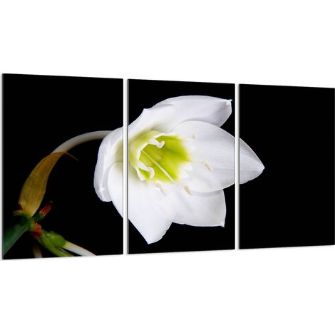 Glasschutzplatte für Herd 3x30x52 (1/5)