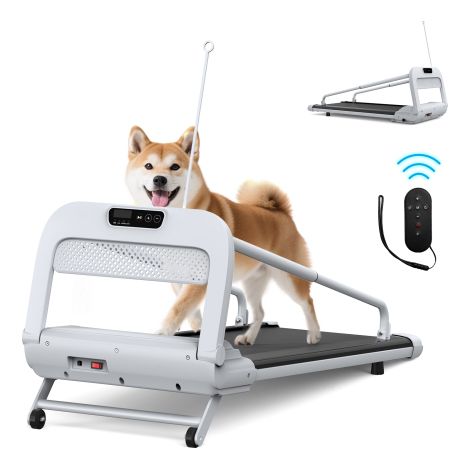 Nuovo tapis roulant intelligente e silenzioso per animali domestici, modello 2025, velocità regolabile, perfetto per cani di piccola/media taglia. (1/5)