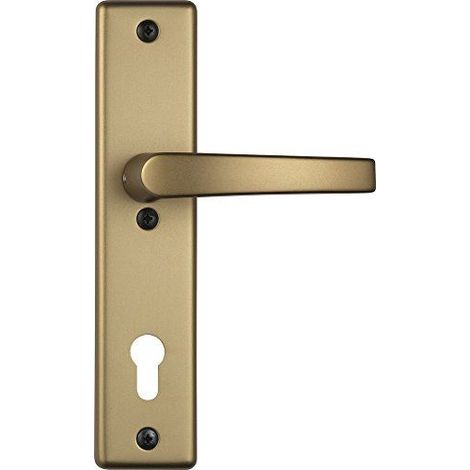 Abus Ferrure de protection pour porte securite HLS214 F4 recto verso avec poignee, 08301
