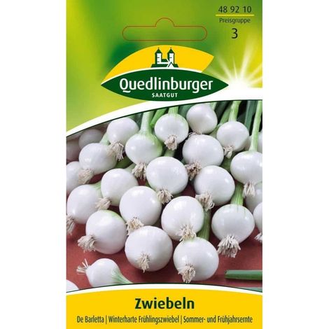 Zwiebeln kaufen, De Barletta, silberweiße Sorte (1/2)
