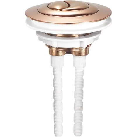 Bouton de chasse d'eau double avec tige de 100 (1/5)